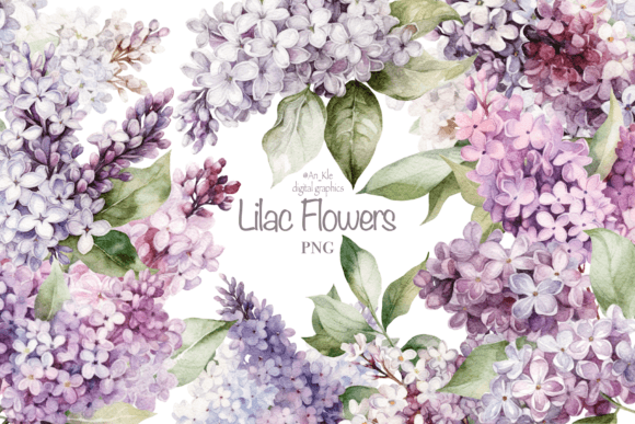 Download Gorgeous Lilac Flowers - Premium Resources